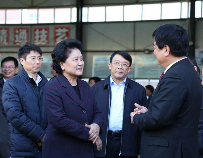 中共中央政治局委員、國務(wù)院副總理劉延?xùn)|在教育部副部長朱之文，四川省教育廳廳長朱世宏等陪同下視察四川應(yīng)用技術(shù)職業(yè)學(xué)院_副本.jpg
